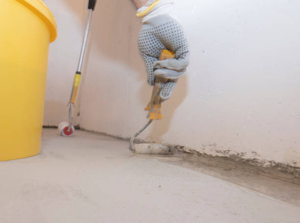 Best Pest Exclusion Services  in USA